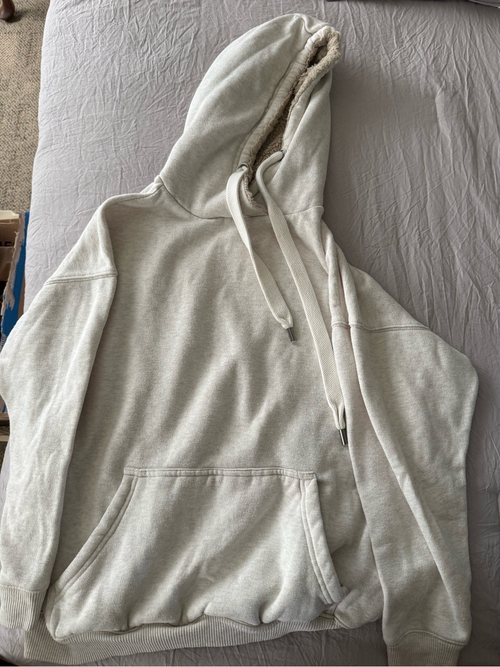 Cozy Arie Sherpa-Lined Hooded Sweatshirt in Light Oat